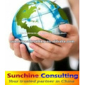 China Business Consulting